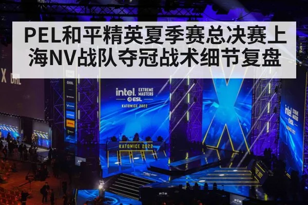 PEL和平精英夏季赛总决赛上海NV战队夺冠战术细节复盘(huobo sports)